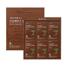 서울약사신협 내몸애 생발란스 산삼배양근 진액 30p, 2.1L, 1개