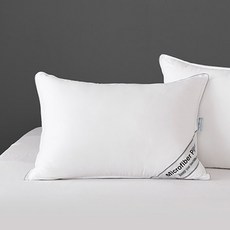 베네베딩 더쉼 진드기 방지 베개솜 낮은형, 화이트, 1개