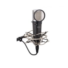 SAMSON MTR231 多模式電容麥克風, 港鐵231