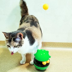 貓咪鼻頭運動不倒翁餵食玩具, 綠色, 1個