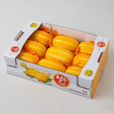 경북농협 당도선별 성주 월항참외, 3kg, 1박스