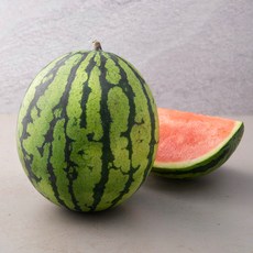 한반도 모두유통 당도선별 수박, 4kg 미만, 1개