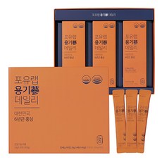 포유랩 용기삼 데일리 건강즙, 300g, 1개