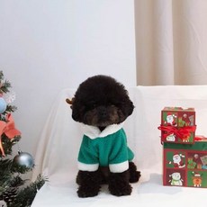 小狗 聖誕節 聖誕老人 魯道夫 連帽衫, 綠色