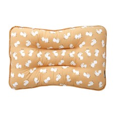 ggoom duboo 低枕頭, 鴨子郊遊