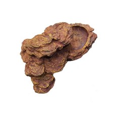 爬蟲類用有碗的躲藏處 B型, 單色, 1個