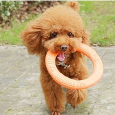 Leopet 狗狗拔河環玩具 S, 橘色, 1個