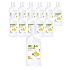 카테린 찌꺼기 가글 구강청결제, 300ml, 12개