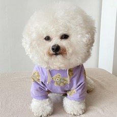 Baidamsumi 蝴蝶結小熊毛圈布狗狗連帽T恤, 紫色