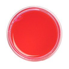 Slko 史萊姆黏土 170ml, 粉色的