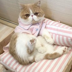 Alarom寵物好眠睡衣, 粉色的