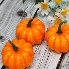 DAEHAN 攝影用食物模型道具 20入, 004 南瓜