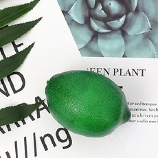 DAEHAN 拍攝專用水果道具組 20入, 005號青檸檬