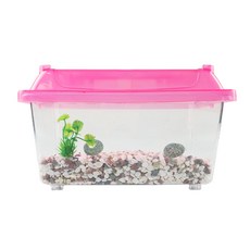 Rora Pet 烏龜飼養套組 乾淨採集箱 隨機出貨 XL, 1套