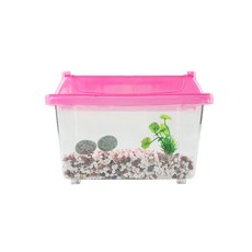 Rora Pet 烏龜飼養套組 清潔飼養盒 M 隨機出貨, 1套