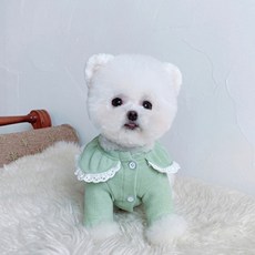 petitdog 花邊針織領上衣 DT053, 綠色