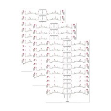 May Beauty眉毛設計貼紙, 基本眉毛, 100個