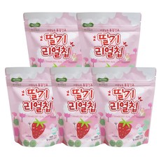 몬스터농장 동결건조 딸기 리얼칩 15g, 5개, 딸기맛