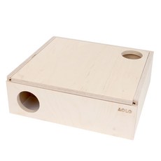 AOLO 在樺樹迷宮 pedigrillon, 樺木, 1個