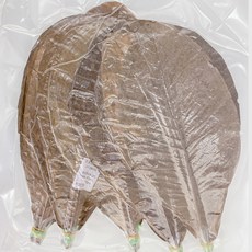 乾燥朴葉 裝飾模型 50入, 混合顏色