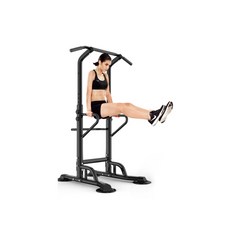 라이언문 턱걸이 운동기구, 블랙