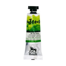 RENESANS 인텐스 수채물감 40 Sap green, 15ml, 1색