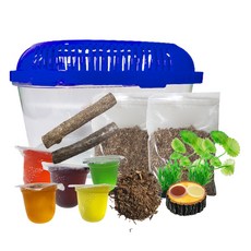 Rora Pet 飼養昆蟲島套, 隨機發貨, 1套