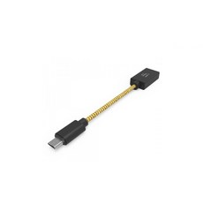 iFi audio micro OTG 케이블, black, Micro5핀