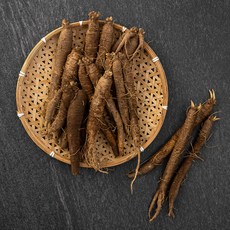 강원도 고랭지 굿향 햇더덕, 650g, 1개