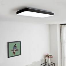 簡約房間燈 LED30W, 黑色+晝光色