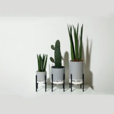 植物室內花盆底座 11 低鐵製支架, 黑色的, 1個