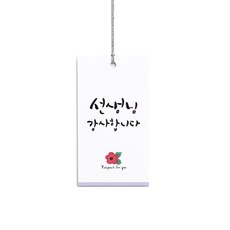 선생님 네모택, 100개