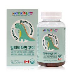아이클키즈 멀티비타민 꾸미, 198g, 1개