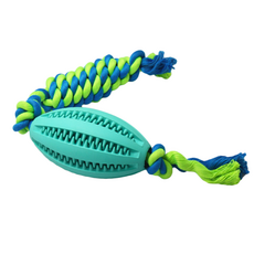 Sniffiz 小狗nozwalk拖船chutoi玩具, 薄荷, 1個