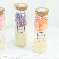 AngelCookie LED永生花瓶 PF-04, 橘色