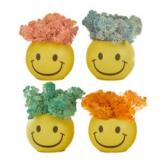 아스파시아 웃어요 스칸디아모스 화분 4종 세트, 핑크, 라벤더블루, 어텀, 퍼시픽그린, 1세트