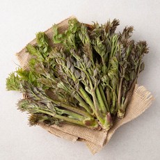 해맑은상상밀양 참두릅, 300g, 1개