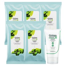 참존 징코 올뉴 클렌징 티슈 10매 x 5p + 징코 클렌징폼 40ml, 1세트