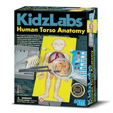 4M 歌孩童實驗室人體解剖學套組 4M03373, 1套