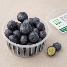 GAP 인증 신칠라 블루베리 특, 100g, 1팩
