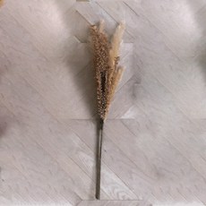 Cojeut秋季銀草永生花乾燥花 3入, 棕色的