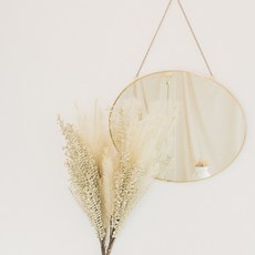 코제트 팜파스 프리저브드 조화 드라이플라워 3p, 아이보리