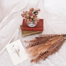 코제트 팜파스 프리저브드 조화 드라이플라워 5p, 브라운