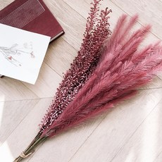 Cojeutteu Pampas永生花乾燥花 5入, 勃艮第