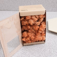 스칸디아모스 이끼 망고 500g, 1개