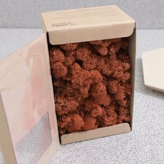 스칸디아모스 이끼 시에나 500g, 1개