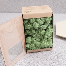 스칸디아모스 이끼 민트 500g, 1개