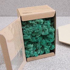 스칸디아모스 이끼 퍼시픽그린 500g, 1개