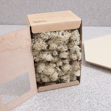 스칸디아모스 이끼 네츄럴 500g, 1개