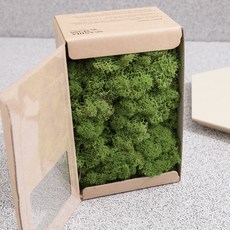 스칸디아모스 이끼 미디엄그린 500g, 1개